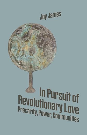 In Pursuit of Revolutionary Love: Precarity, Power, Communities Paperback