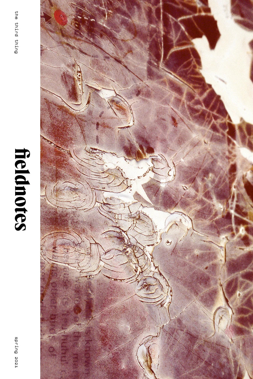 FIELDNOTES (1) | THE THIRD THING | SPRING 2021