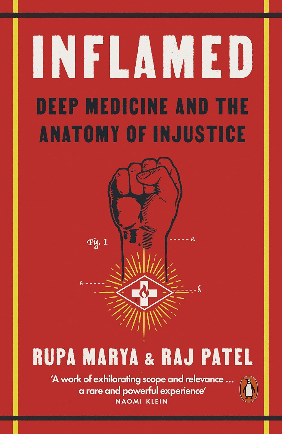 Inflamed: Deep Medicine and the Anatomy of Justice