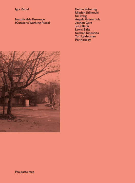 Inexplicable Presence (Curator’s Working Place)