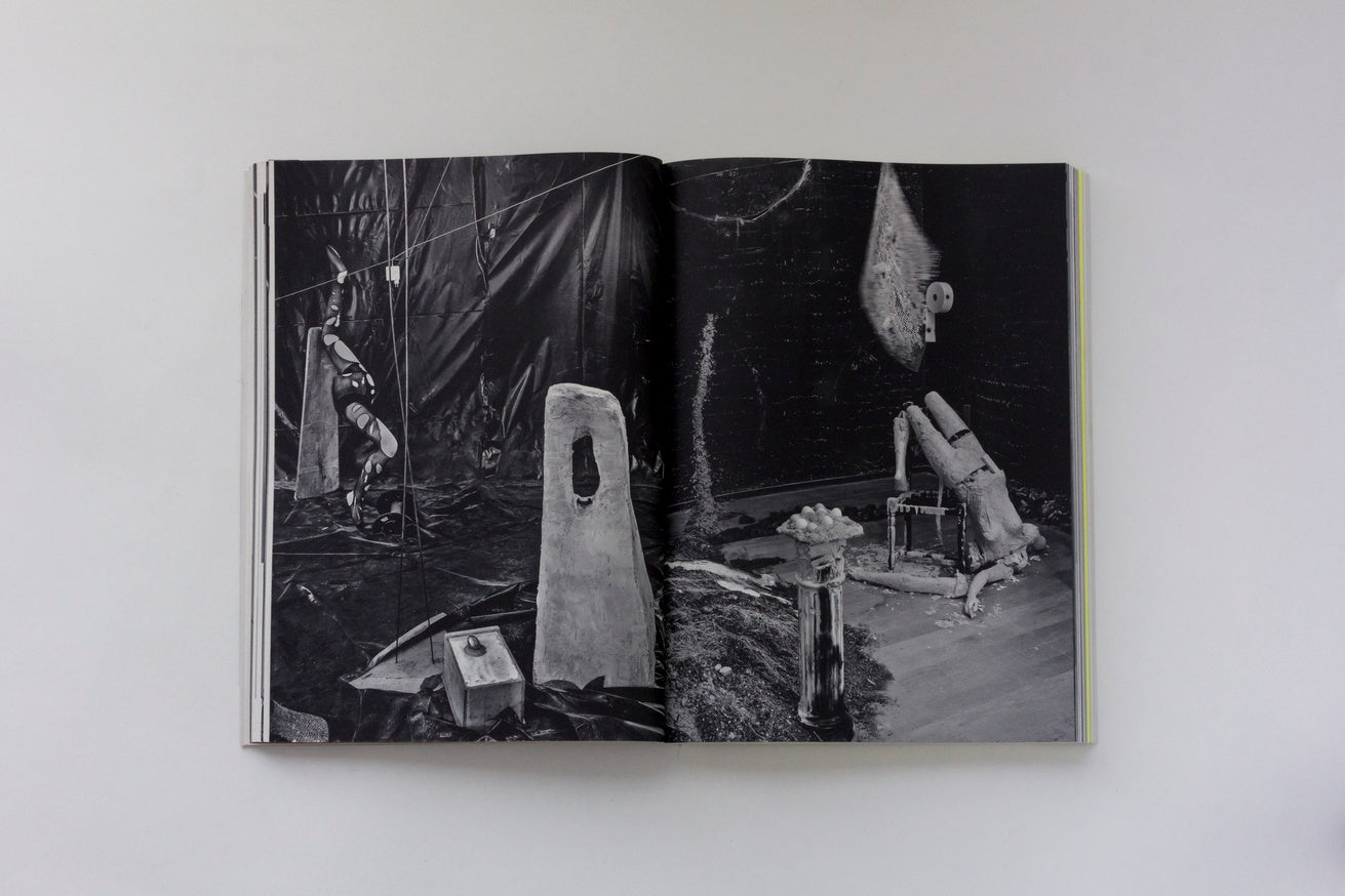 RUB: Perspectives on the Work of Diego Bianchi