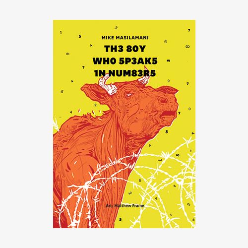 The Boy Who Speaks In Numbers